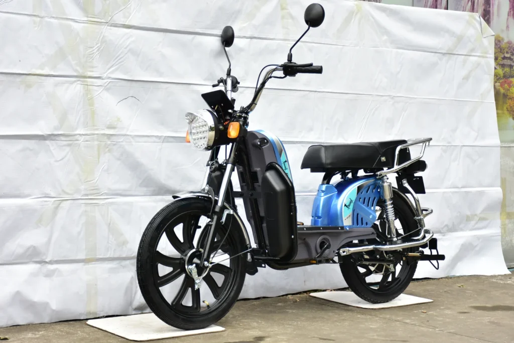Taicheng TC-CG100-R Heavy Duty Rear-Shock E-Bike