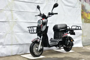 Taicheng TC-SP1200-09 Fleet Utility Electric Scooter