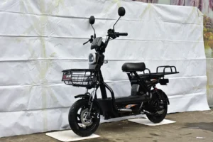 Taicheng TC-SP1200-EX Heavy Commercial Delivery E-Scooter
